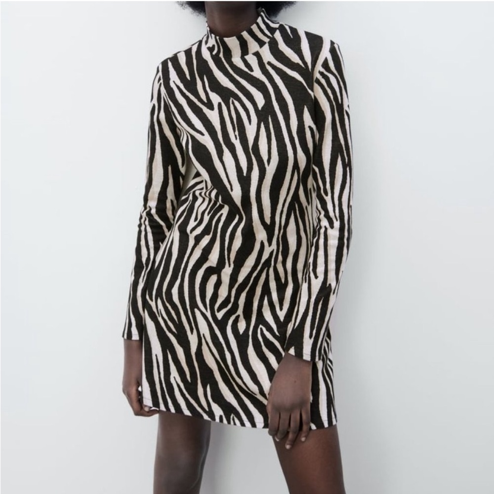 Zebra print Zara dress